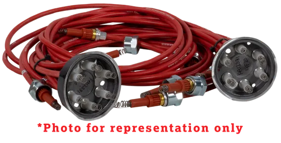 Ignition Harness -web (ignition-harness--web.webp)