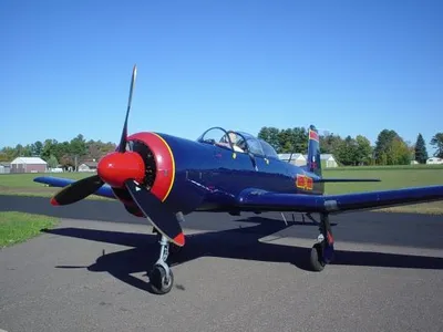 dsc06345-500x375