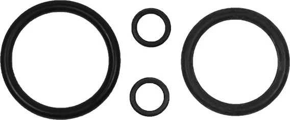 SDKT-1 (sdkt-1--mas1.jpg)